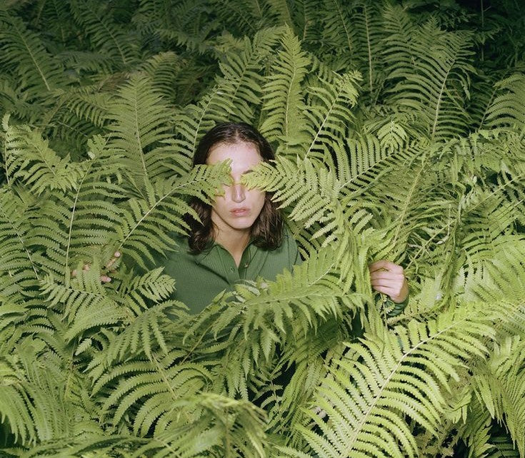 Plante ușor de îngrijit vs Plante pretențioase