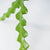 Epiphyllum anguliger (Zig-zag Cactus) H30 cm