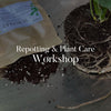 Workshop replantare 🪴