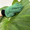 SOS plant Kit: pentru salvarea plantelor bolnave