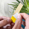 SOS plant Kit: pentru salvarea plantelor bolnave